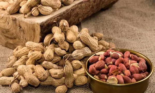بادام زمینی روکش دار مخلوط + بهترین قیمت خرید