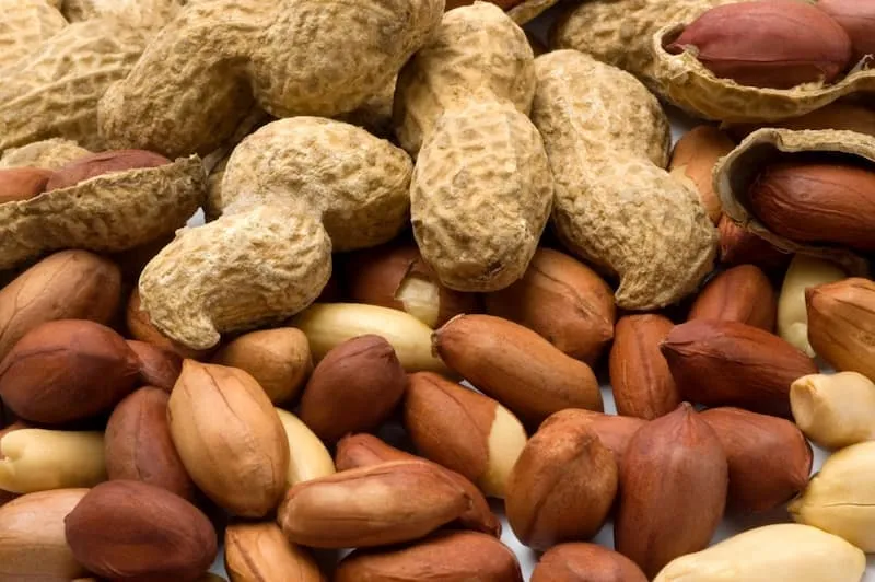 بادام زمینی روکش دار با طعم خردل | قیمت مناسب خرید عالی