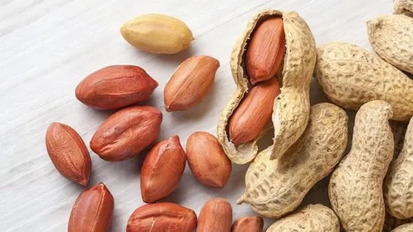 بادام زمینی روکش دار بالزامیک + بهترین قیمت خرید